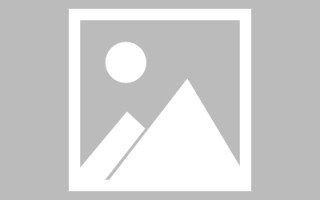 辽宁网页设计英文默认字体（网页设置英文转换中文）
